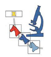 Praxis f&uuml;r Tierpathologie - Home